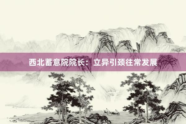 西北蓄意院院长：立异引颈往常发展