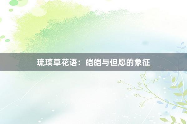 琉璃草花语：皑皑与但愿的象征