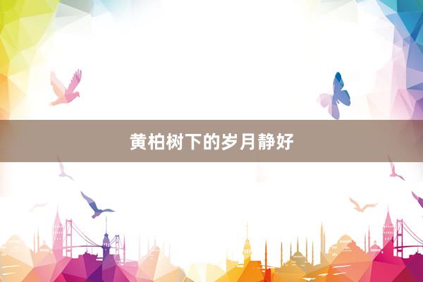 黄柏树下的岁月静好