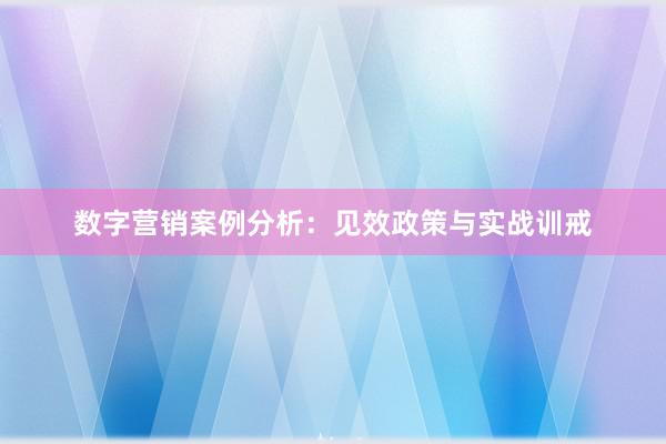 数字营销案例分析：见效政策与实战训戒